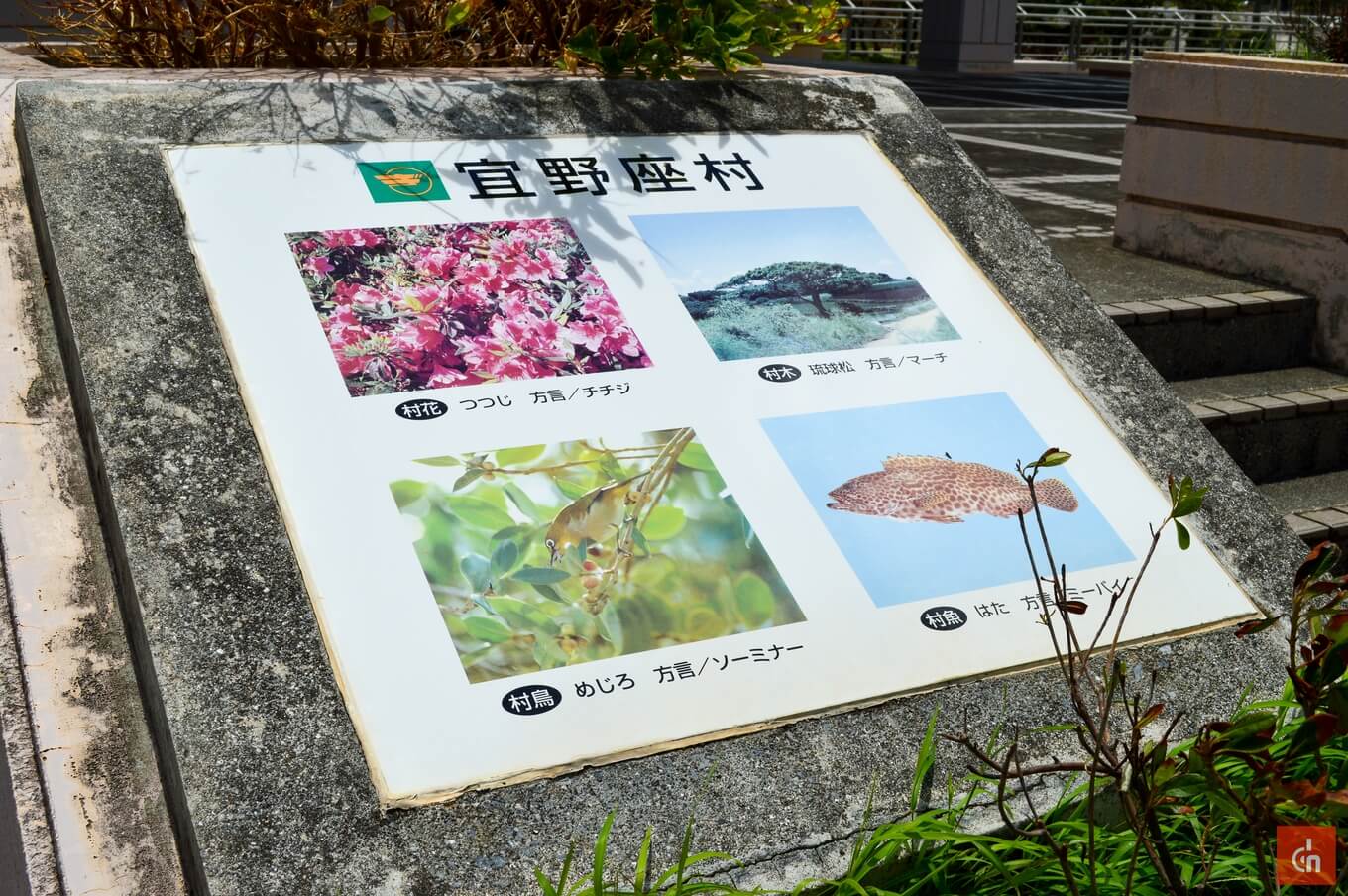 004_20150726_okinawaisyu